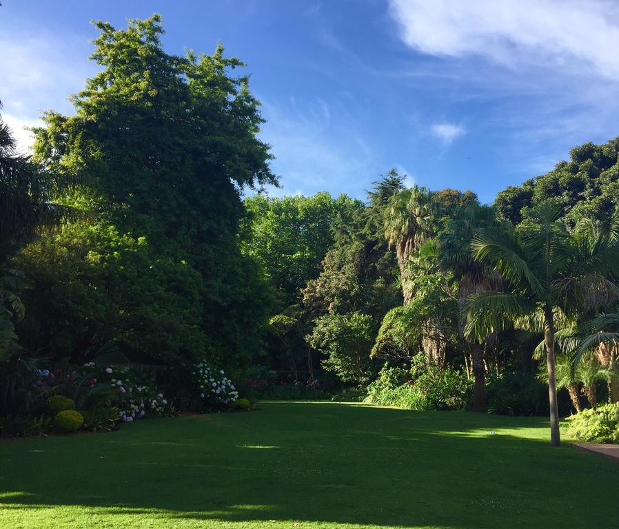 The White Manor Bed & Breakfast Cape Town Ngoại thất bức ảnh