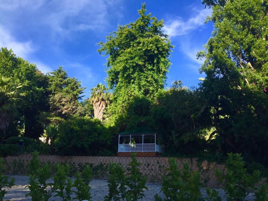 The White Manor Bed & Breakfast Cape Town Ngoại thất bức ảnh