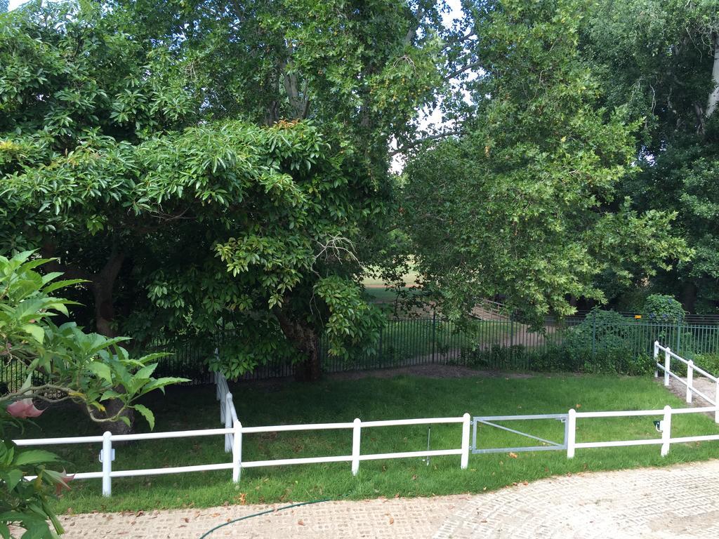The White Manor Bed & Breakfast Cape Town Ngoại thất bức ảnh