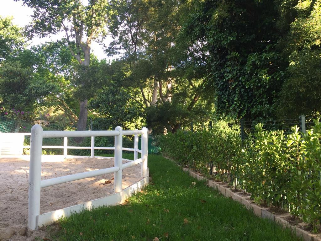 The White Manor Bed & Breakfast Cape Town Ngoại thất bức ảnh